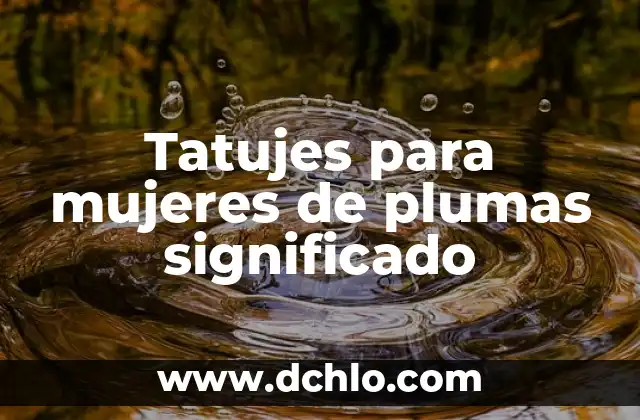 Tatujes de Reloj de Bolsillo Significado 5 Tatujes para mujeres de plumas significado