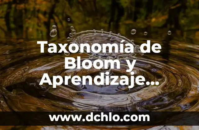 Tesis sobre la Motivación y el Aprendizaje Significativo 4 Taxonomía de Bloom y Aprendizaje Significativo