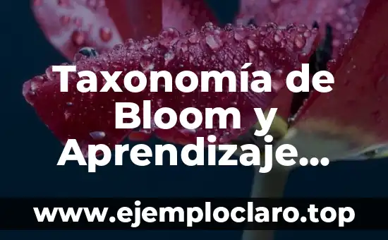 Taxonomía de Bloom y Aprendizaje Significativo