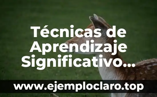 Técnicas de Aprendizaje Significativo PDF