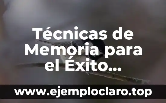 Técnicas de Memoria para el Éxito Académico