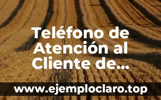 Teléfono de Atención al Cliente de Vodafone España