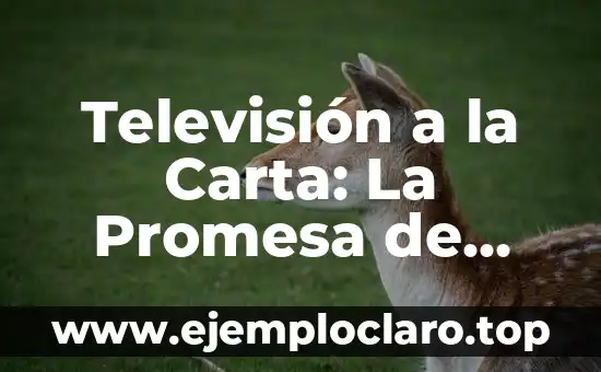 Televisión a la Carta: La Promesa de una Nueva Era de Entretenimiento