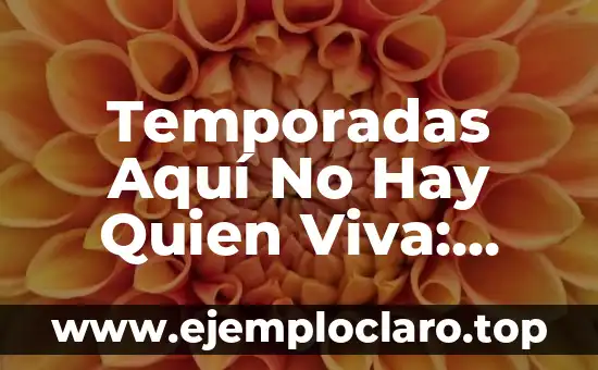 Temporadas Aquí No Hay Quien Viva: Análisis y Repaso de la Serie