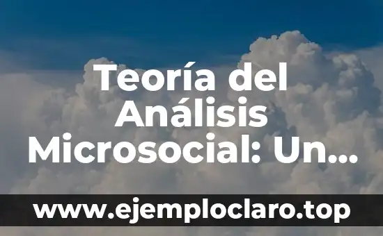 Teoría del Análisis Microsocial: Un Enfoque Profundo en las Interacciones Humanas