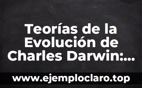 Evolución de la tecnología: Un viaje a través del tiempo 5 Teorías de la Evolución de Charles Darwin: Una Guía Completa