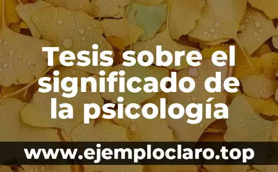 Tesis sobre el significado de la psicología