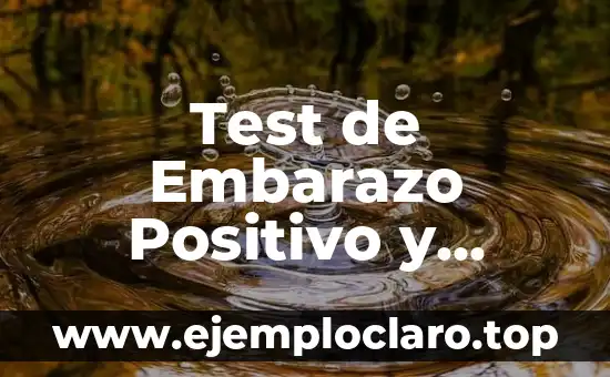 Test de Embarazo Positivo y Luego Negativo: ¿Qué Sucede?