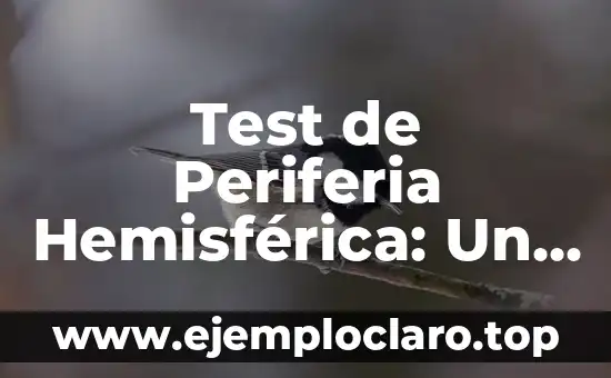 Significados Cívicos de la Libertad: Un Enfoque Integral 6 Test de Periferia Hemisférica: Un Enfoque Integral