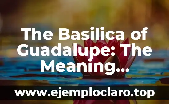 Understanding IaaS: Meaning and Images Explained 7 The Basilica of Guadalupe: The Meaning Behind the Lamps