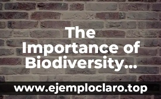 Exploring the Fascinating World of the Möbius Triangle 3 The Importance of Biodiversity Value