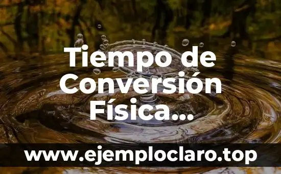 El Principio de Bernoulli y su Impacto en la Física de Fluidos 7 Tiempo de Conversión Física Significado