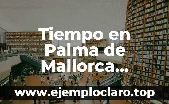 Real Sociedad Mallorca Copa del Rey - Análisis y Detalles de los Partidos 6 Tiempo en Palma de Mallorca AEMET: Pronóstico y Clima Actualizado