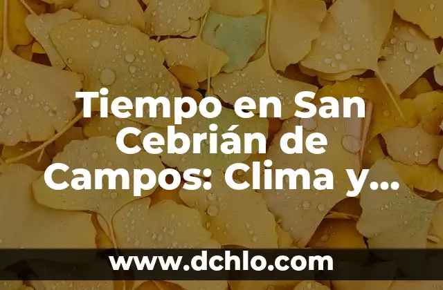 Mejores significados de San Valentín 6 Tiempo en San Cebrián de Campos: Clima y Meteorología en esta Localidad de Palencia