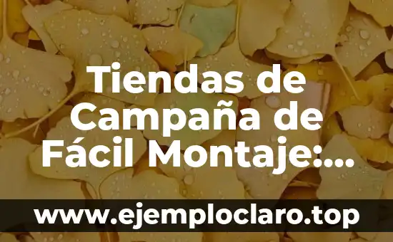 Tiendas de Campaña de Fácil Montaje: La Opción Ideal para Eventos al Aire Libre