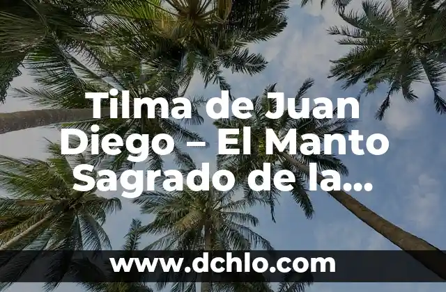 El Significado del Manto de Colores 4 Tilma de Juan Diego – El Manto Sagrado de la Virgen de Guadalupe