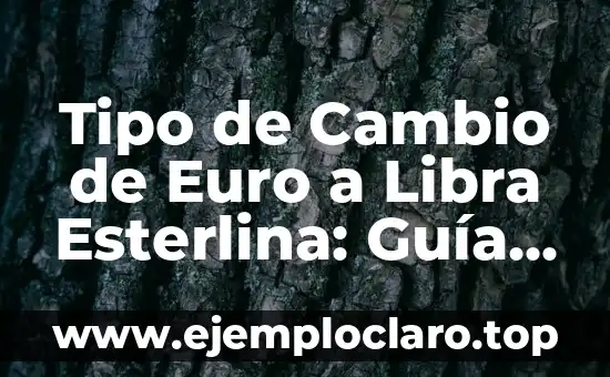 Tipo de Cambio de Euro a Libra Esterlina: Guía Completa y Actualizada