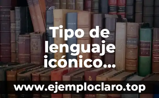 El Significado de la Verdad: Un Concepto Universal 6 Tipo de lenguaje icónico significado