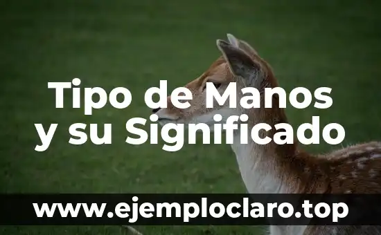 Tipo de Manos y su Significado