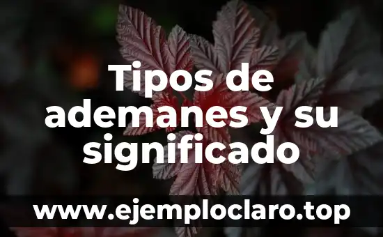 Tipos de ademanes y su significado