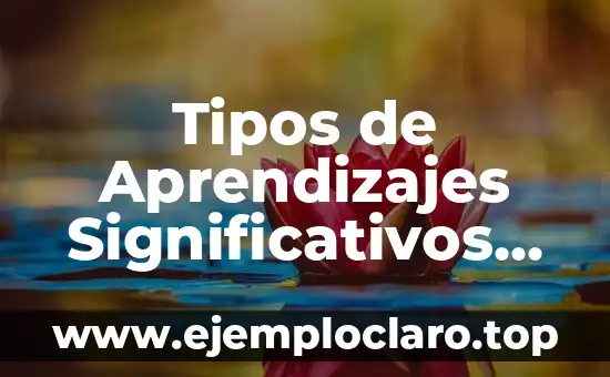 Tipos de Aprendizajes Significativos Según Ausubel