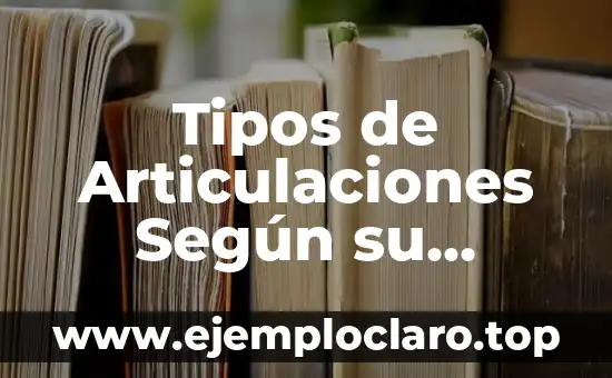 Tipos de Articulaciones Según su Movimiento: Una Guía Completa