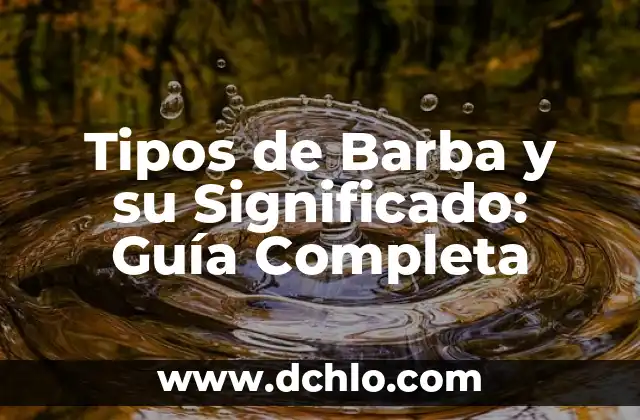 Tipos de Dominios y su Significado 4 Tipos de Barba y su Significado: Guía Completa