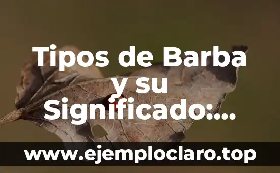 Tipos de Barba y su Significado: Guía Completa