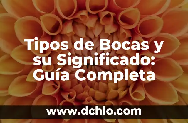 El significado de Mirza: Un término con múltiples facetas 6 Tipos de Bocas y su Significado: Guía Completa