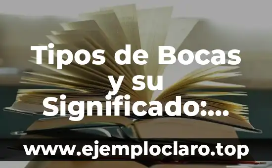 Tipos de Bocas y su Significado: Guía Completa