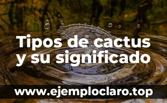 Tipos de cactus y su significado