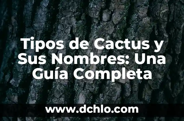 Significado de Violencia y sus Tipos 7 Tipos de Cactus y Sus Nombres: Una Guía Completa