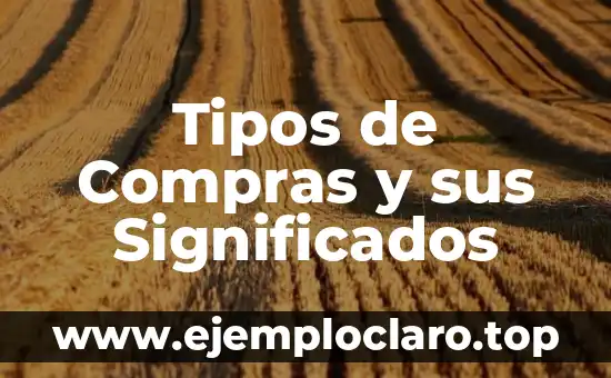 Introducción al significado de las compras 4 Tipos de Compras y sus Significados