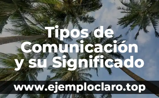 Tipos de Comunicación y su Significado