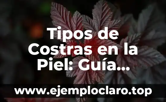 Tipos de Costras en la Piel: Guía Completa y Actualizada