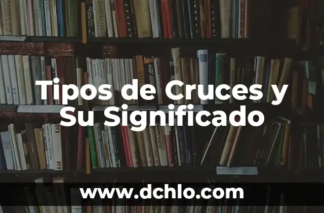 Tipos de Dominios y su Significado 8 Tipos de Cruces y Su Significado