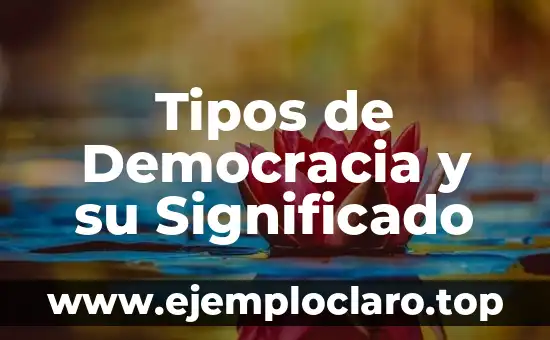 Tipos de Democracia y su Significado