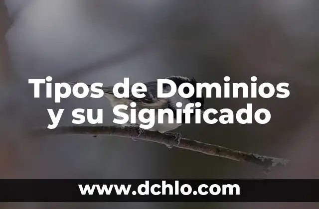 Tipos de Comunicación y su Significado 8 Tipos de Dominios y su Significado