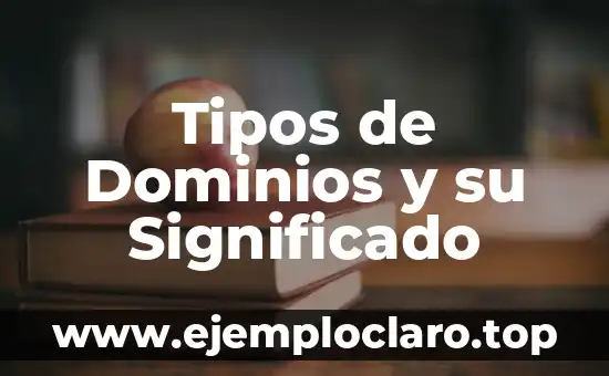 Tipos de Dominios y su Significado