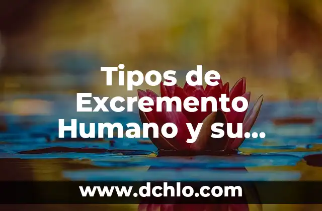 Tipos de gestos y su significado: El lenguaje del cuerpo 3 Tipos de Excremento Humano y su Significado