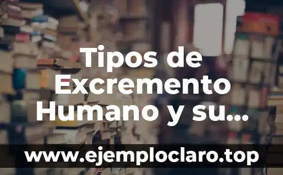 Tipos de Excremento Humano y su Significado