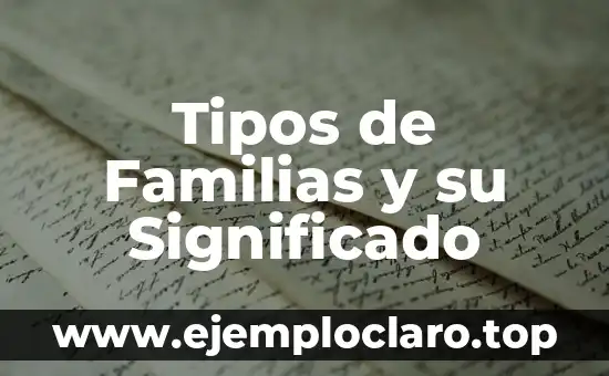 Tipos de logotipos y su significado 5 Tipos de Familias y su Significado