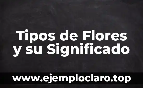 Tipos de Flores y su Significado