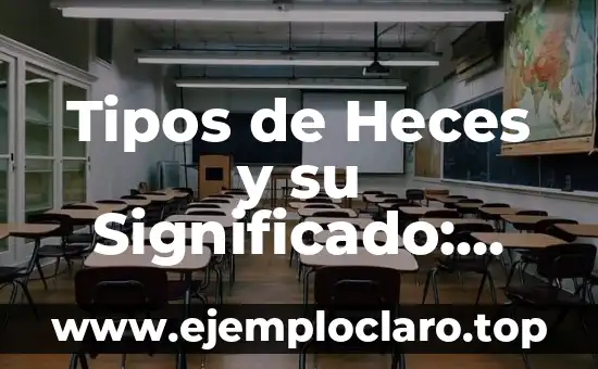 Tipos de Heces y su Significado: Una Guía Completa