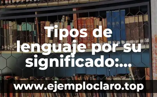 Tipos de lenguaje por su significado: Una exploración de la diversidad lingüística