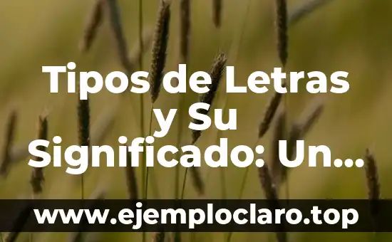 Tipos de Letras y Su Significado: Un Mundo de Comunicación Visual