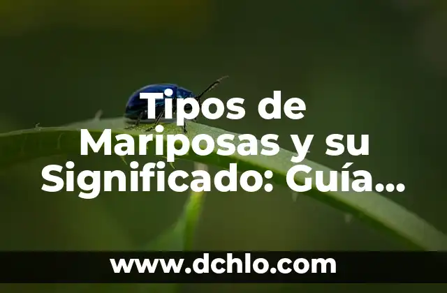 El Significado de los Tatuajes de Mariposas y Estrellas 8 Tipos de Mariposas y su Significado: Guía Completa