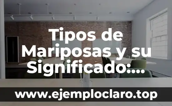 Tipos de Mariposas y su Significado: Guía Completa