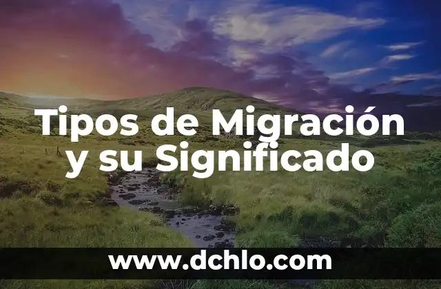 Tipos de Talismanes y su Significado: Guía Completa 3 Tipos de Migración y su Significado