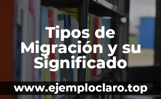 Tipos de Migración y su Significado